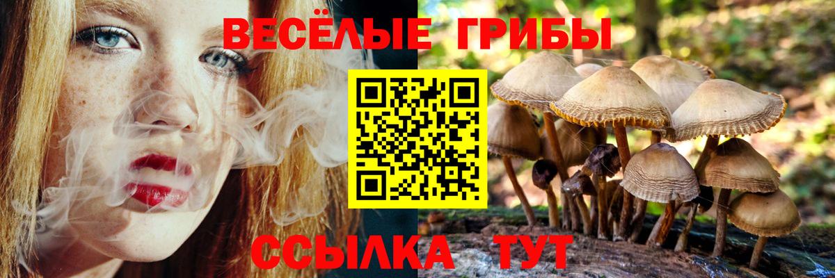 Галлюциногенные грибы MAGIC MUSHROOMS Екатеринбург
